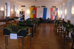 DSCF7723