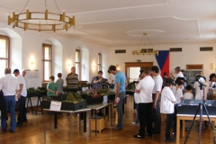 DSCF7728