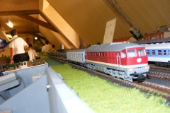 DSCF7768