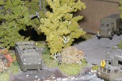 DSCF7829