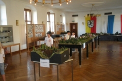 DSCN3428