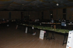DSCF3539