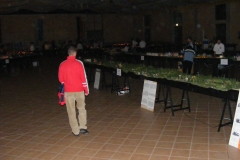 DSCF3540