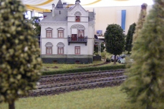 DSCF3554