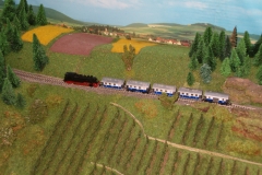 Bild5